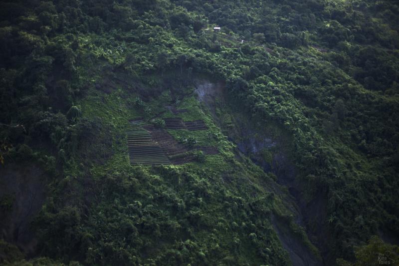  Zahau travelled for days by jeep on her way to the Indian border, but when the vehicle was taken by soldiers she was forced to trek across the Chin State mountains