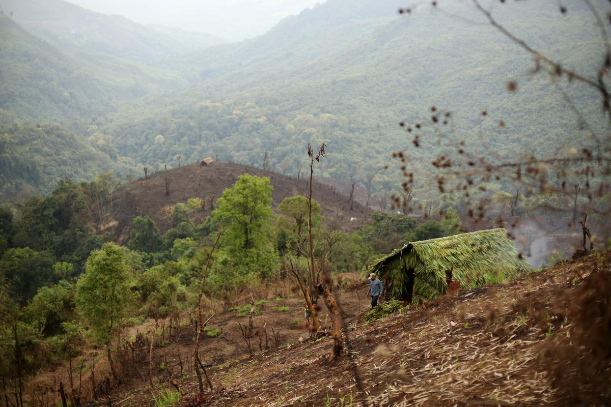 A farmer and his children tend land around their newly-built hut near Lahe