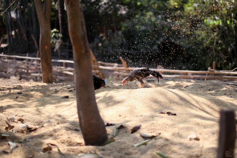 အပြင်လောကနဲ့ လမ်းပန်းဆက်သွယ်ရေးကောင်းသွားပေမယ့် ရွာမှာ စိန်ခေါ်မှုတွေ အများကြီး ရှိနေဆဲပါ။ 