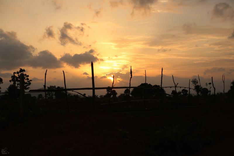 The wild border areas between Myanmar and Thailand, where malarial forests provide cover for armed insurgents