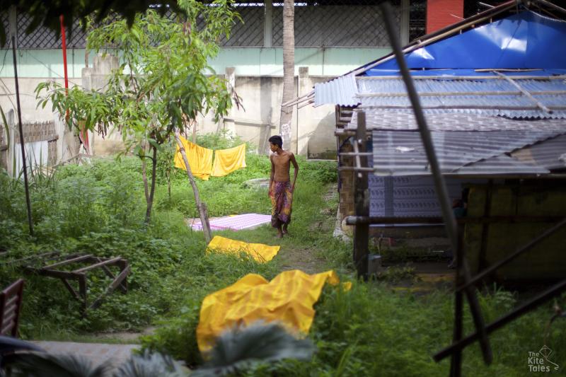 Aye Myint's garden at his home in Amarapura