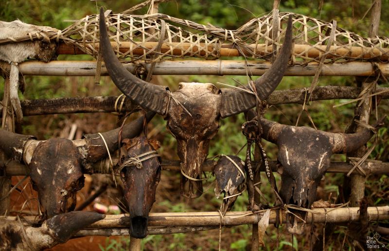 Skulls at a hunter's grave