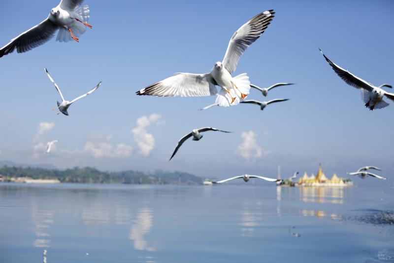 Locals and tourists flock to the Shwe Myintzu Pagoda