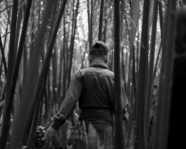 Rakhine farming