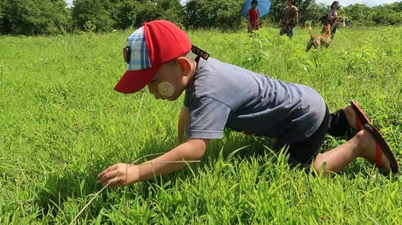 Teaching children about nature and environment 